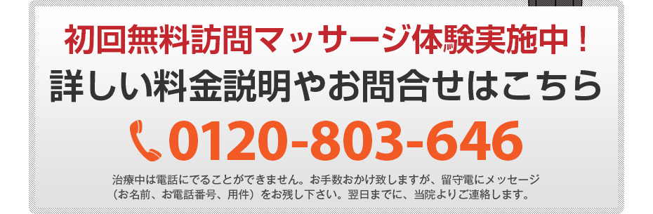 初回無料訪問マッサージ体験実施中!詳しい料金説明やお問合せはこちら0120-803-646